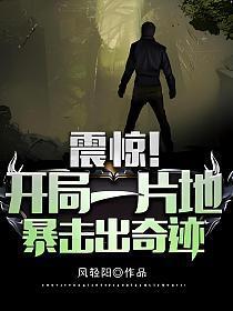 暴击出奇迹 风轻阳 TXT